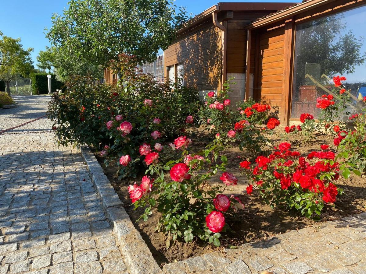 Gites Des Sablons Châtillon-sur-Marne Dış mekan fotoğraf