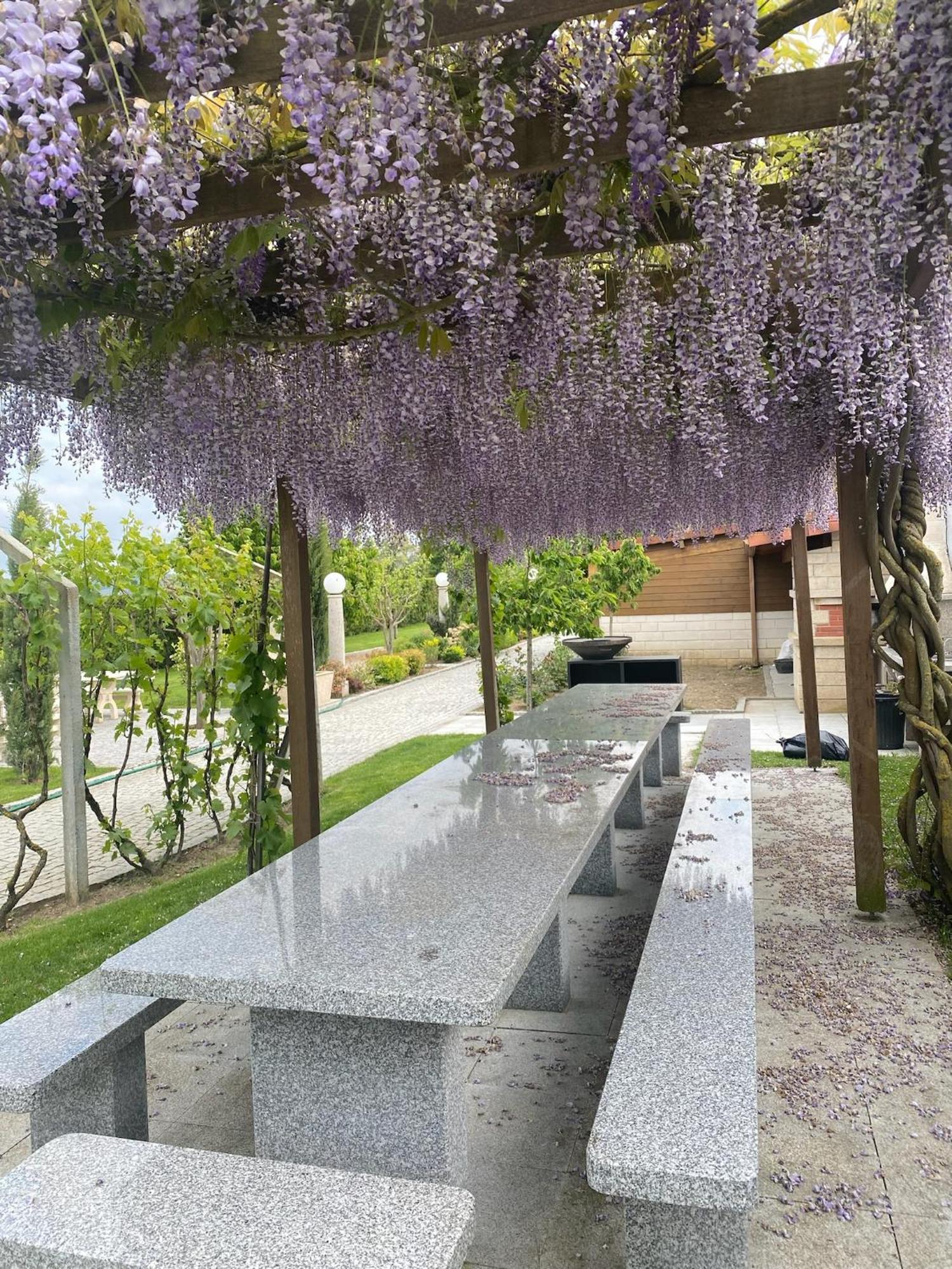 Gites Des Sablons Châtillon-sur-Marne Dış mekan fotoğraf