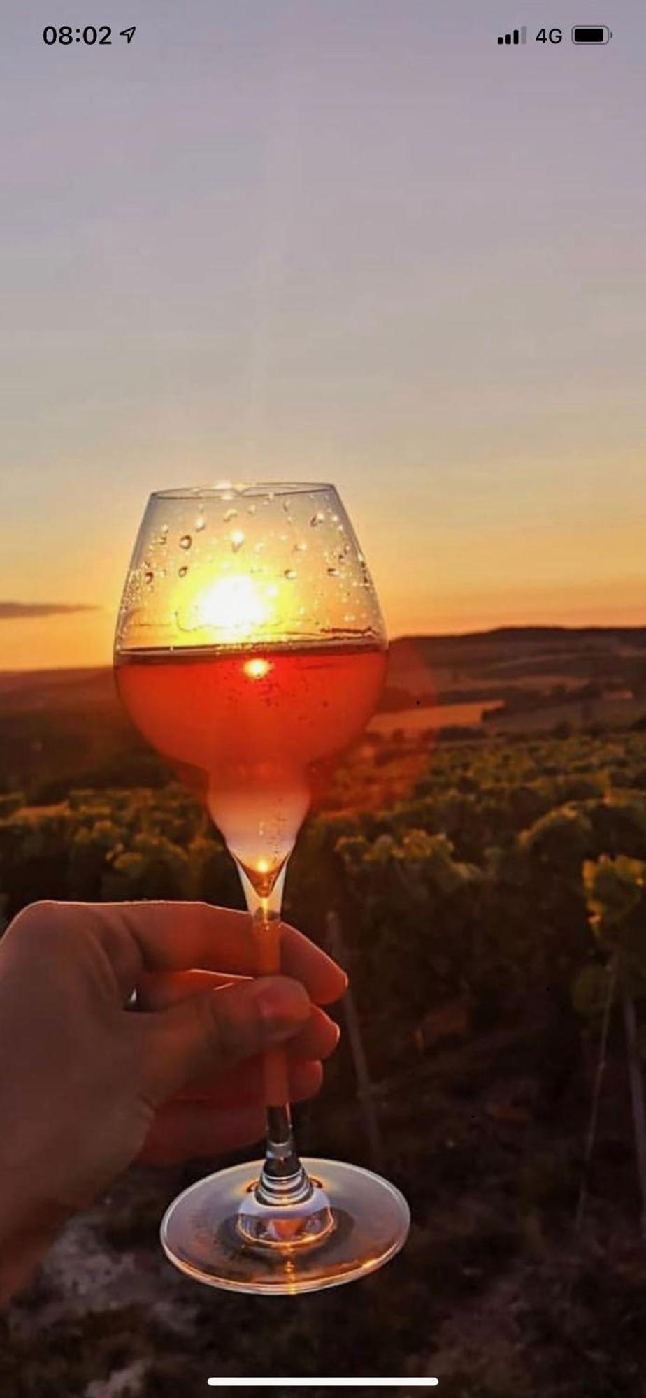 Gites Des Sablons Châtillon-sur-Marne Dış mekan fotoğraf